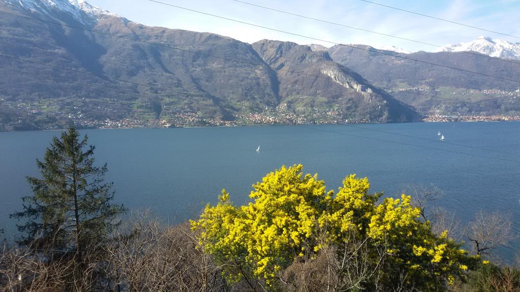 Al Castello Lägenhet Dervio Exteriör bild